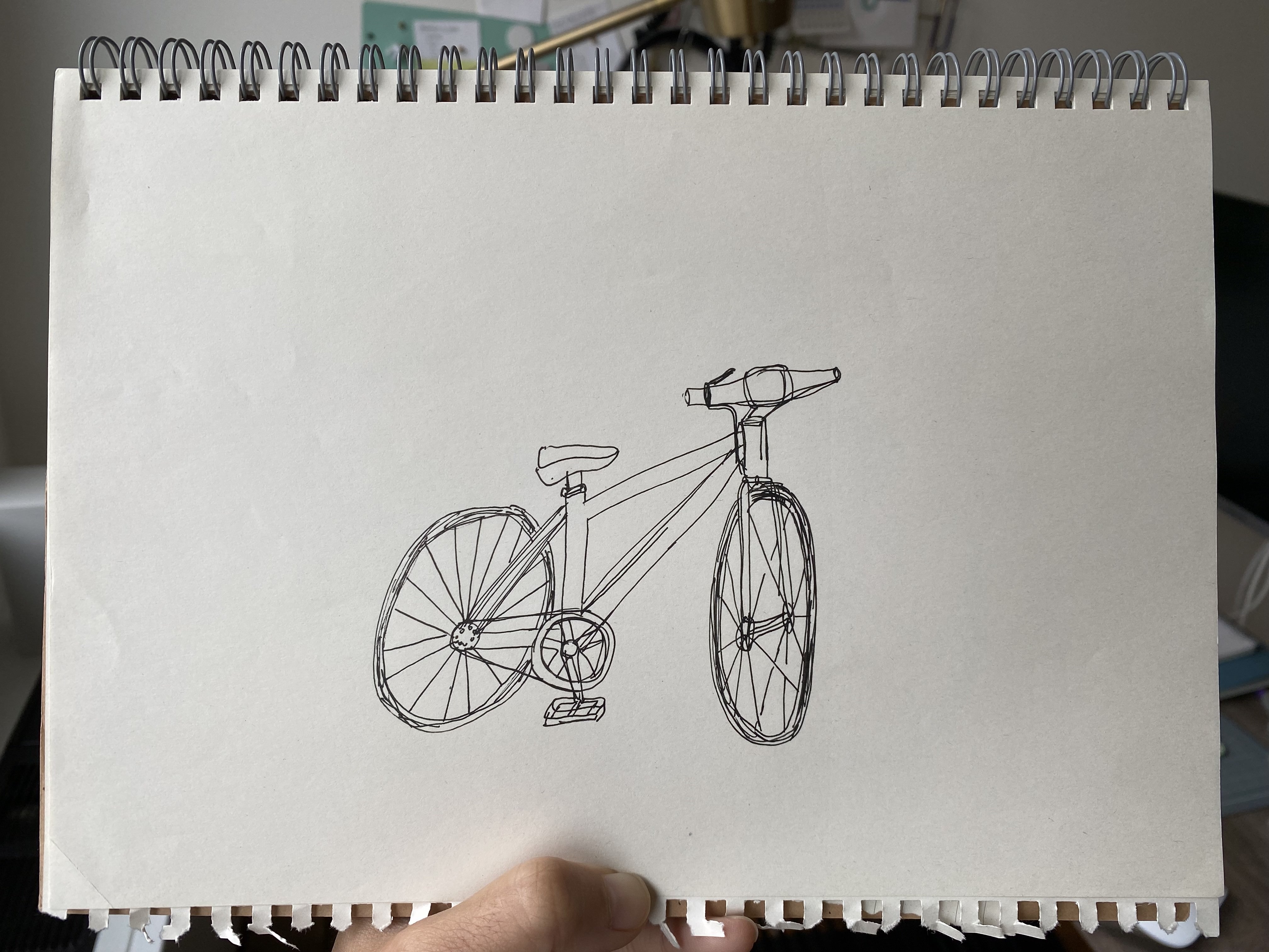 A rudimentary sketch of a bicycle