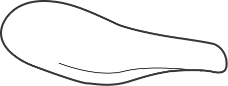 Saddle