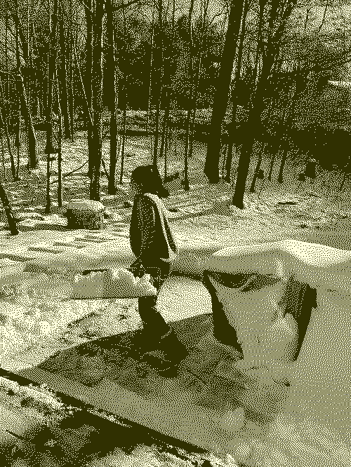 dithered image of a woman shoveling snow set on a backdrop of trees