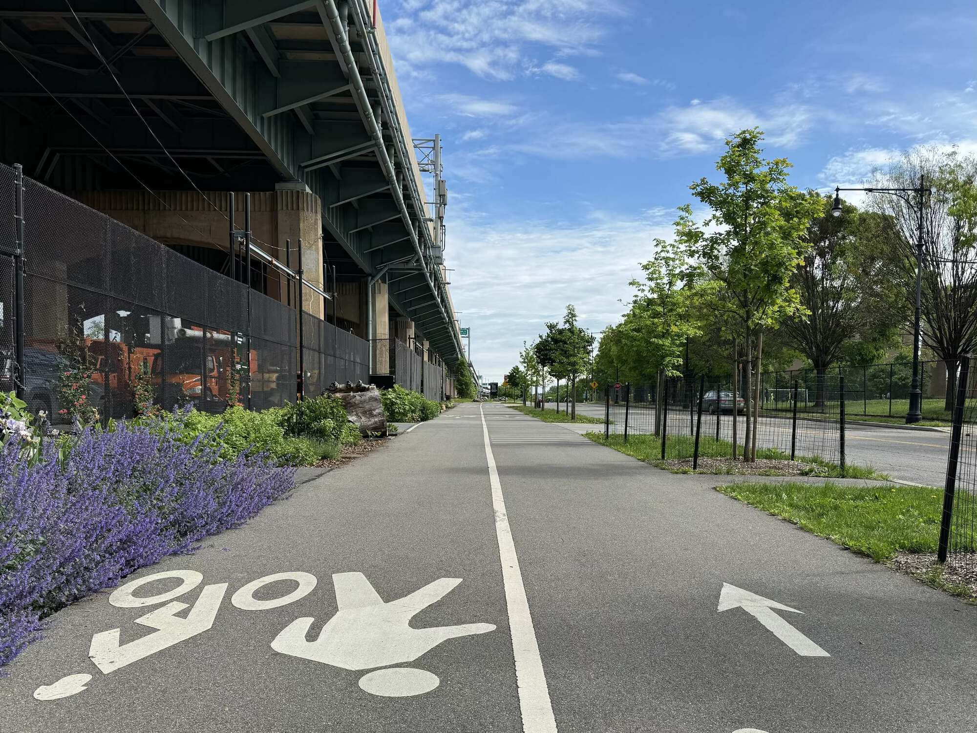 Another two-way bike path, with some pretty purple flowers on the left side