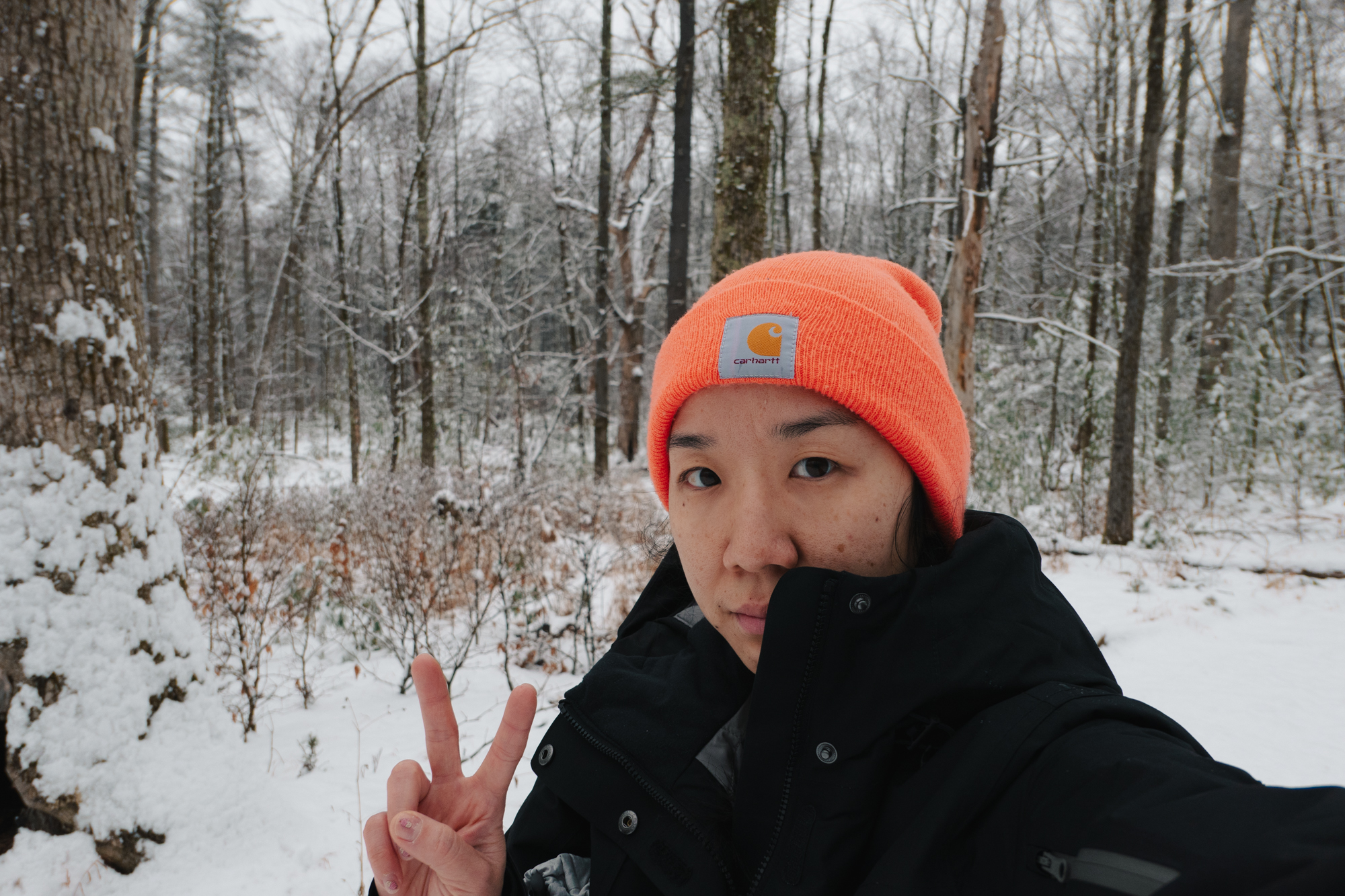 Landscape-oriented selfie of me, a 40 year old Korean American woman, flashing a victory sign in the snowy woods on a winter walk